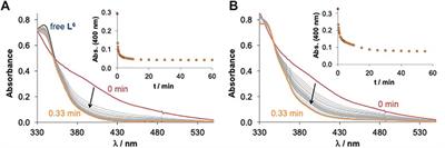 Promising anticancer agents based on 8-hydroxyquinoline hydrazone copper(II) complexes